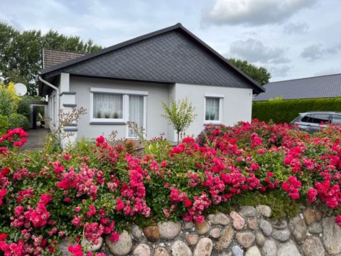 Fassadengestaltung - Malerin Claudia Techau - Jübek - Schleswig