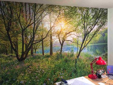 Fototapeten - Malerin Claudia Techau - Jübek - Schleswig