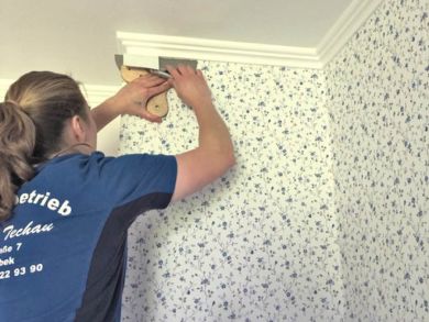 Wandgestaltung - Malerin Claudia Techau - Jübek - Schleswig