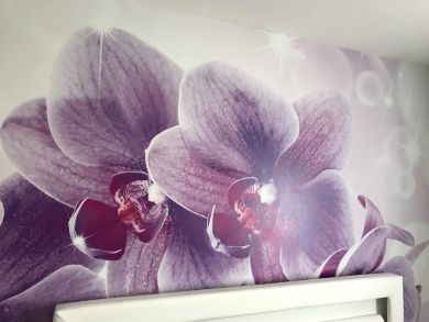 Fototapeten - Malerin Claudia Techau - Jübek - Schleswig